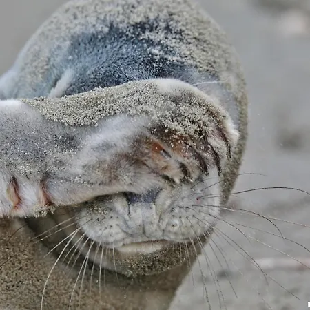 Gluecklich Am Meerblick Mit Wellnesszugang