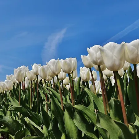 Gluecklich Am Meerblick Mit Wellnesszugang *