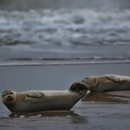 Apartamento Gluecklich Am Meerblick Mit Wellnesszugang *