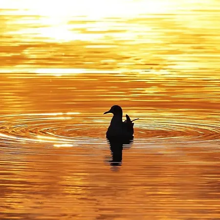 Gluecklich Am Meerblick Mit Wellnesszugang Apartamento