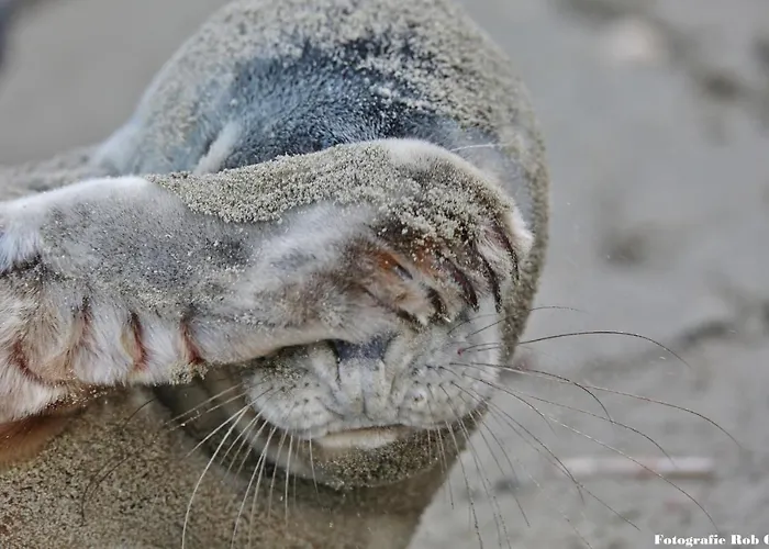 Gluecklich Am Meerblick Mit Wellnesszugang
