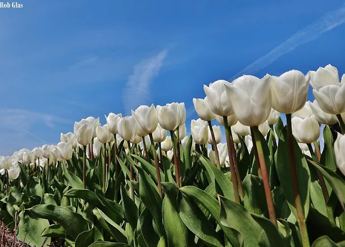 Gluecklich Am Meerblick Mit Wellnesszugang *