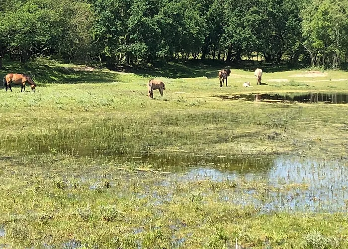 Gluecklich Am Meerblick Mit Wellnesszugang אגמונד אן זי