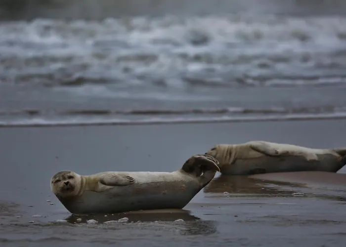 דירה Gluecklich Am Meerblick Mit Wellnesszugang *