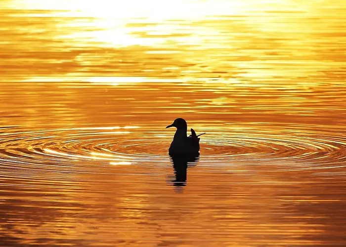 Gluecklich Am Meerblick Mit Wellnesszugang דירה